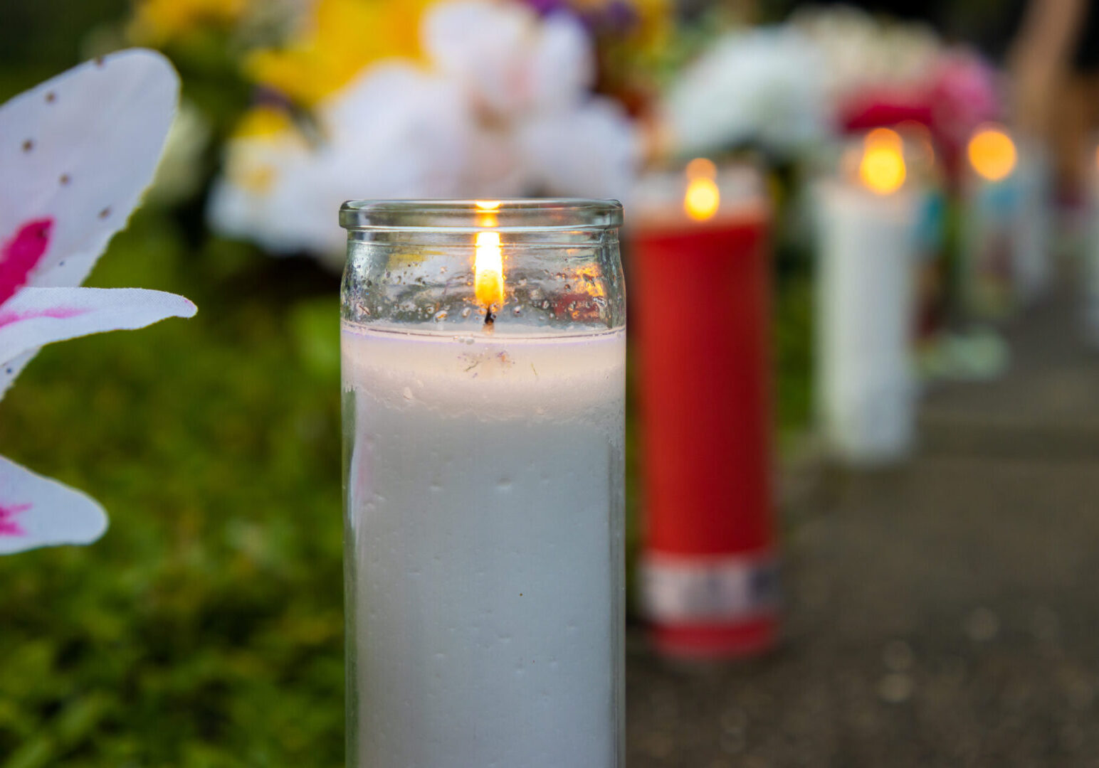 Candlelight vigil to honor deceased A lit white candle in a glass container is surrounded by flowers on a pathway; other candles are aligned in the background.